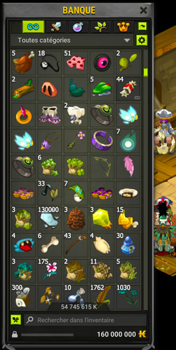Compte dofus parch 100 - dofus,