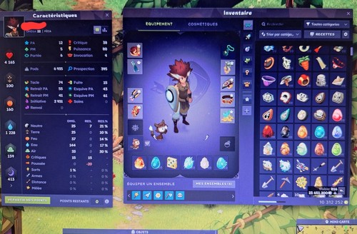Compte dofus feca - compte, serveur