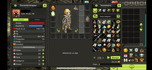 Compte dofus touch sram - dofus,