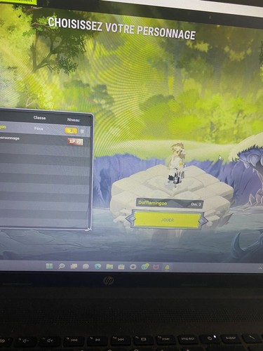 Compte dofus 200 feca pandaw - compte, +