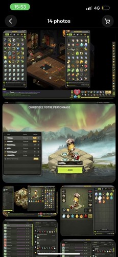 Vend compte dofus - dofus, draconiros